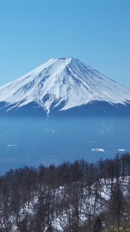 避難所のオープンチャット