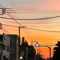 葛西西葛西