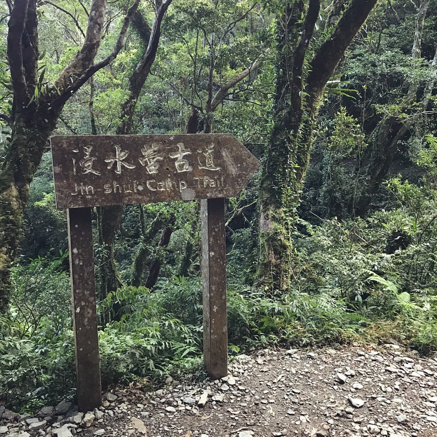 屏東「拾美步道群」介紹｜屏東10條森林秘境登山步道介紹看這篇