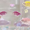 ลูกทีมนิวเมล / รับซื้อเมล / นิวเมล 7฿