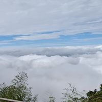 暢聊森林之光💕