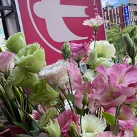 營養免疫學 《知識就是財富》