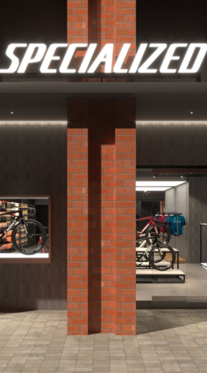 Specialized Town in Town