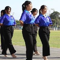 เฮดหลีดสีปาริชาติ