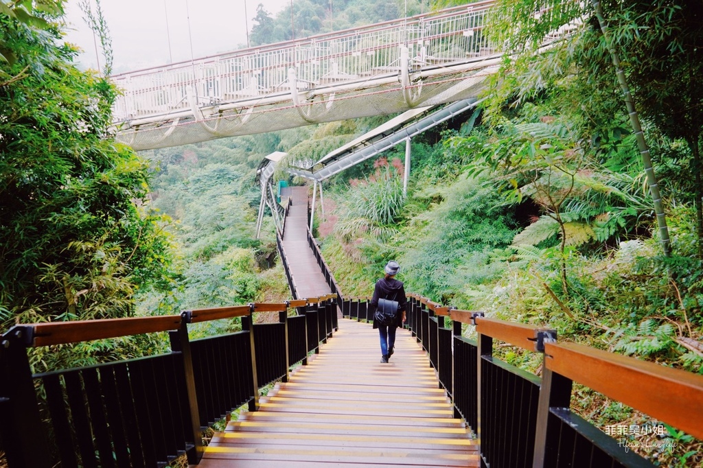 嘉義梅山精緻旅遊 太平雲梯