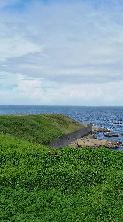 台灣人文、藝術、足球、旅遊 交流