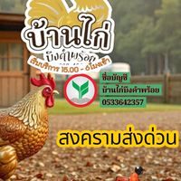 บ้านไก่บึงคำพร้อย