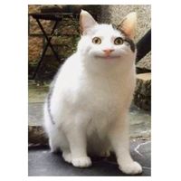 炒股第二航廈