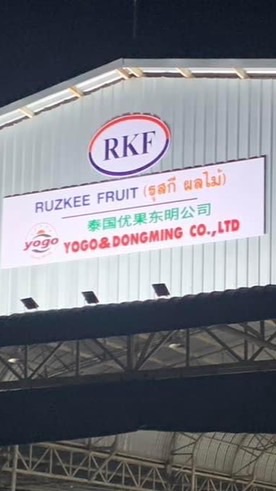 แผงทุเรียน รุสกี ผลไม้ นราธิวาส