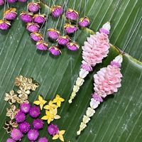 Iively D Flowers
