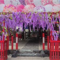 琉璃🎐專職日代🇯🇵