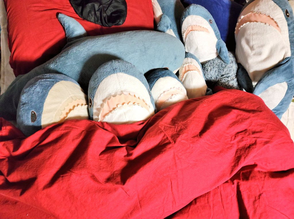 IKEA小鯊魚！迷你版IKEA鯊魚進軍台灣！好抱又可愛，300元有找輕鬆入手