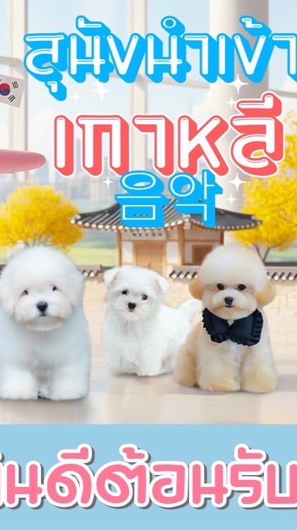 สุนัขนำเข้าเกาหลี 🇰🇷byHero’spom