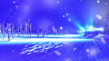 【北海道】札幌出發 旭山動物園・男山酒造清酒博物館・ 青池・白鬚瀑布點燈（冬季限定）巴士一日遊