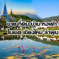ขายบ้าน ที่ดิน เชียงใหม่