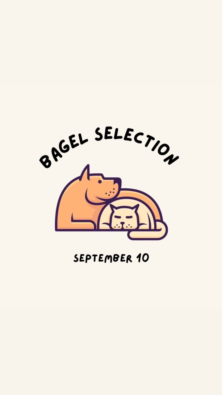 Bagel selection 🥯|團購｜生活｜寵物
