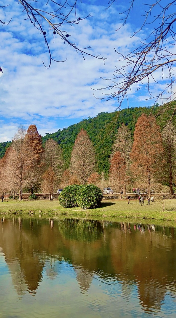 藝創跑旅