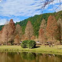 藝創跑旅