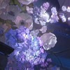 ホヨバ緩　最愛＿。