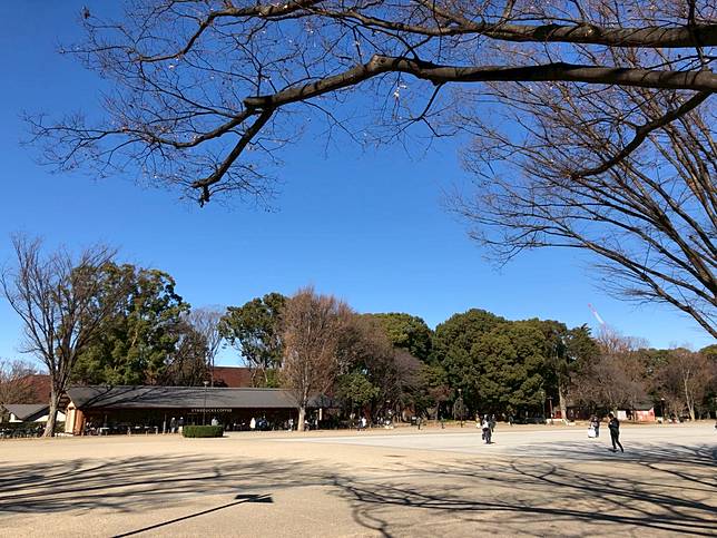 厭倦台灣濕冷天氣 日本人 東京冬天 乾燥 天氣更加厭世 口袋日本 Line Today