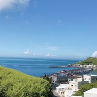 ❤️澎湖媳婦 (鑫鱻水產)❤️