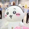 開團！跟嗎？｜吉伊卡哇🤍西村裕二🐼三麗鷗🎀迪士尼🐭各種日本小物