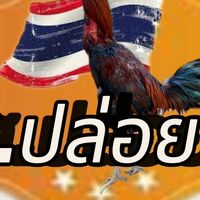 ซุ้ม ส.ปล่อยไก่
