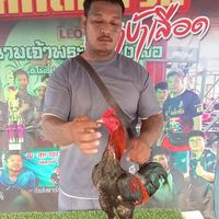 รชานนท์ฟาร์ม