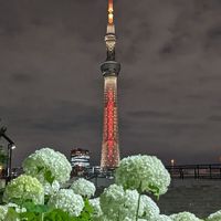 50代60代でゆっくりのんびり語り合いましょう😄✌️