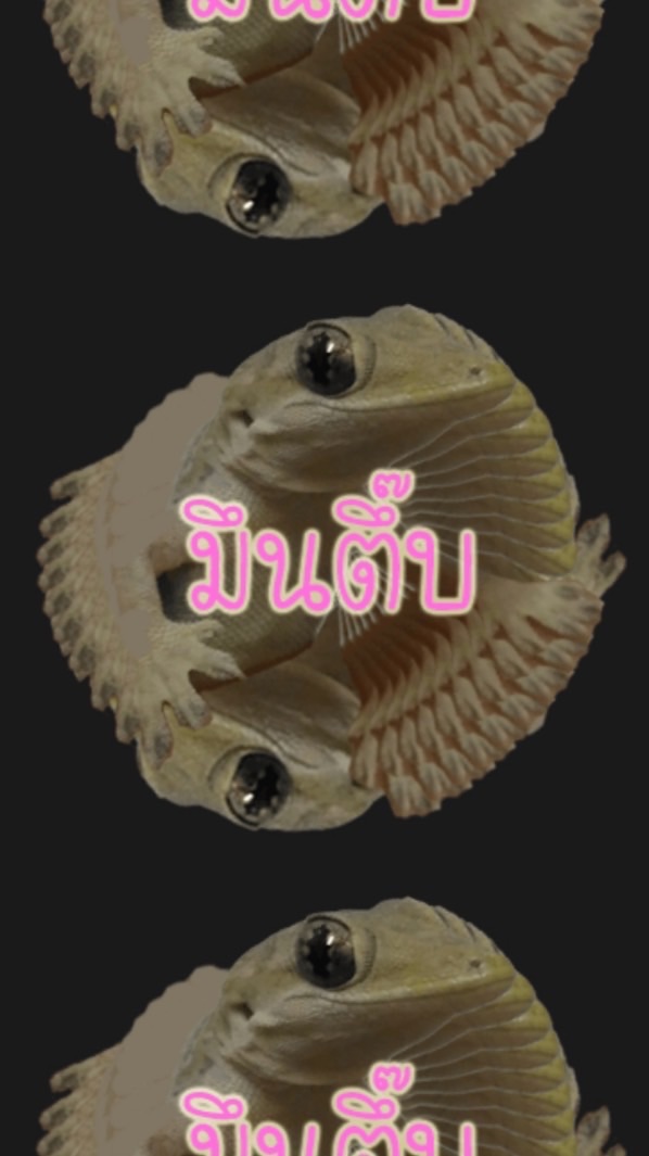 พวกเราเซล่ามูนเลิกคบอีดำในห้อง😏😏