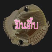 พวกเราเซล่ามูนเลิกคบอีดำในห้อง😏😏