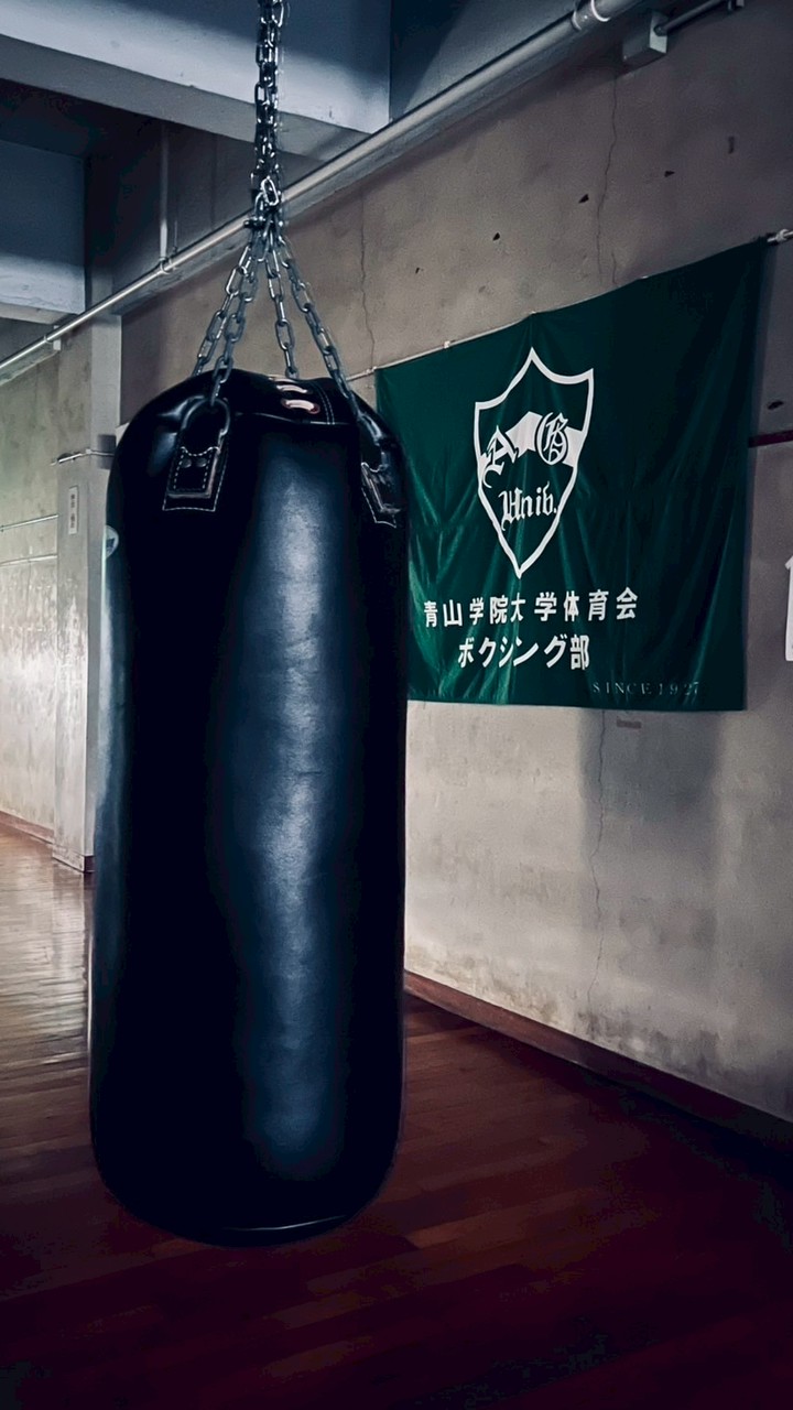 【2026年度】青学体育会ボクシング新歓🥊