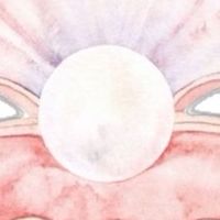🌺粉珍珠