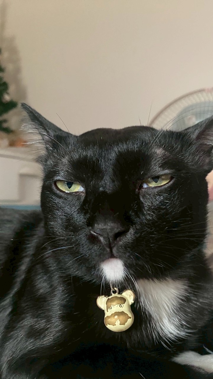 StreamerHeaven77🌏