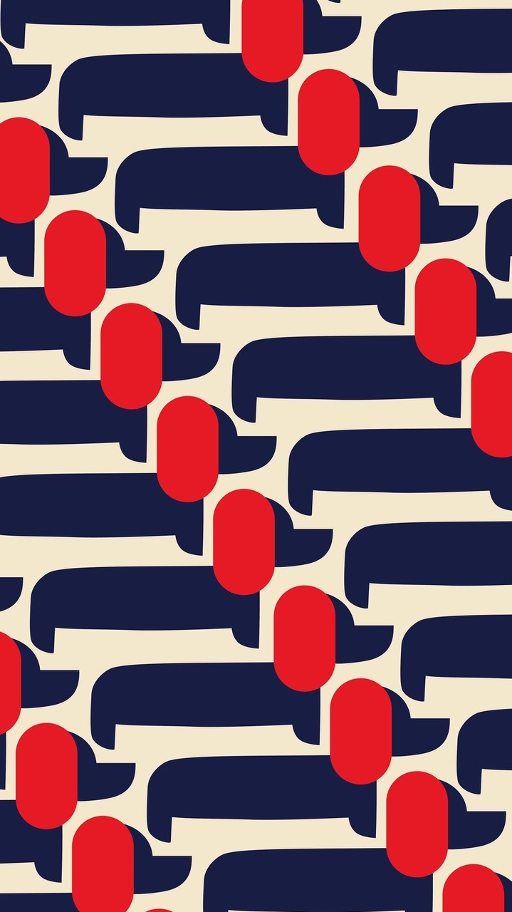 VSTxTikTok ガチライバー相互応援で繋がる場所