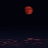 仕方なかった　:　BLL緩