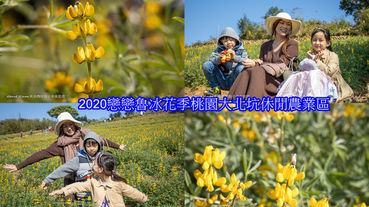 2020戀戀魯冰花 桃園龍潭大北坑休閒農業區