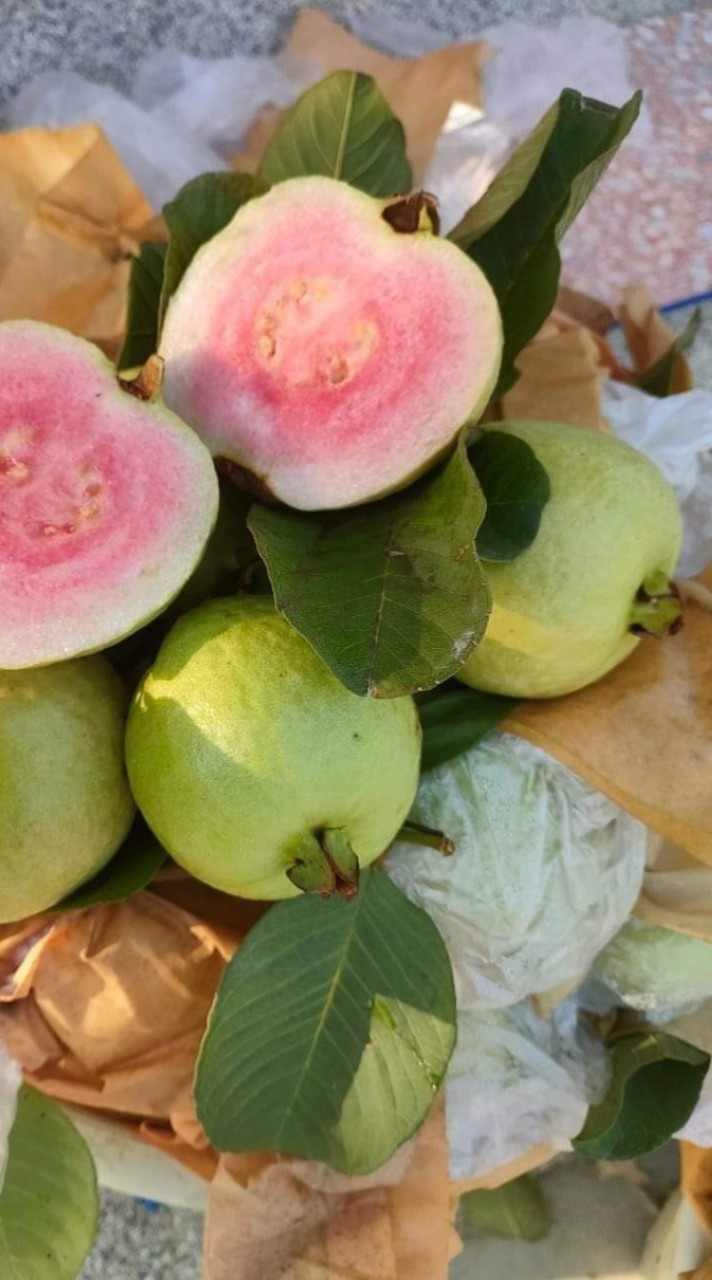 สวนฝรั่ง 🍎PINK GUAVA