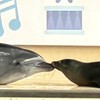 VOOMなくなったらこれで投稿しよ（？）