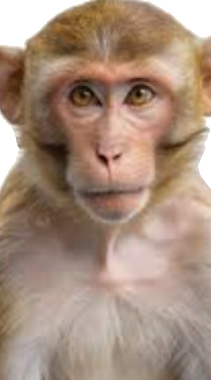 เล่นเกม