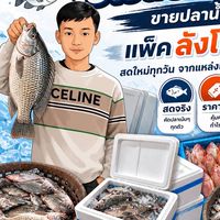 ร้าน เอเย่นปลาสด ลังโฟม🐟📥