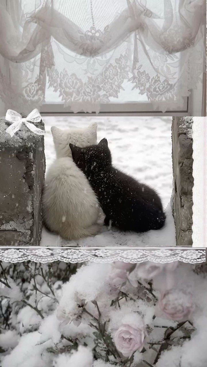 เก็บรูป