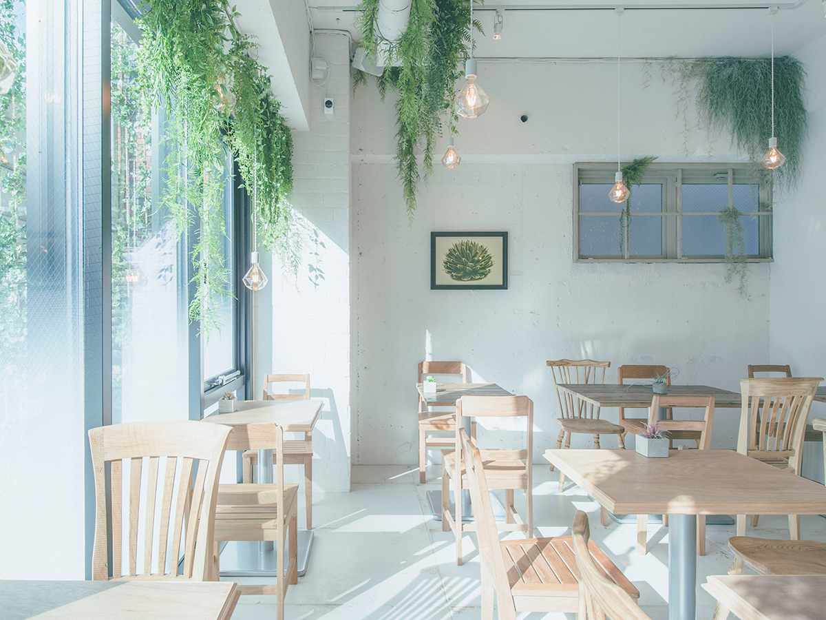 日本保養品牌附設咖啡廳BOTANIST、shiro