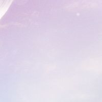 ✨バイナリー無料部屋✨【BO配信】