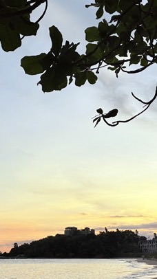 วิทยาศาสตร์ 1/1