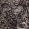 桃園神洲龍魚