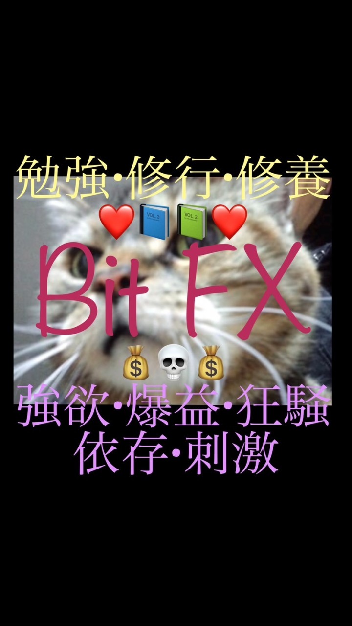 bitFX〜刺激と狂気を貴方に〜