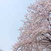 親が毒親かわからない人おいで～