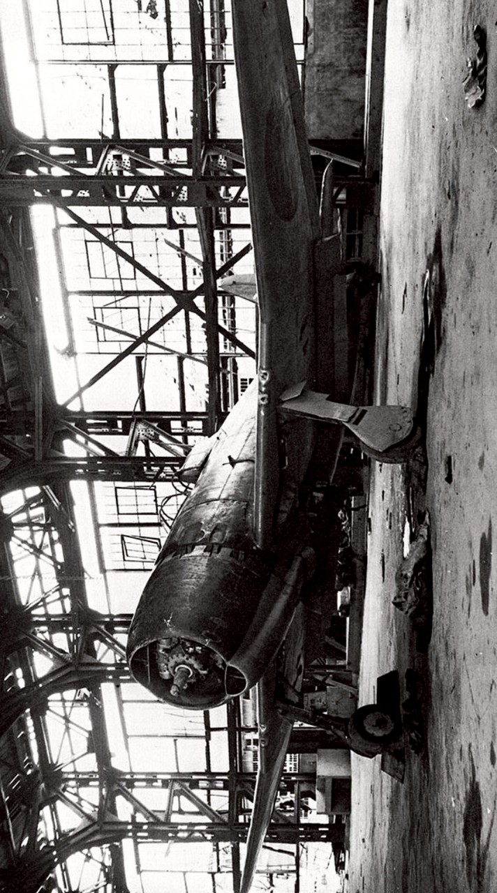 新生 大日本帝国