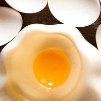全鑫金禾牧場音樂蛋